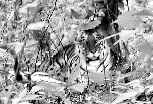 �Ƽ�ʱ��_������������������������һ���߽�