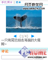 MSN9 ��ǿ�� �ֻ�����