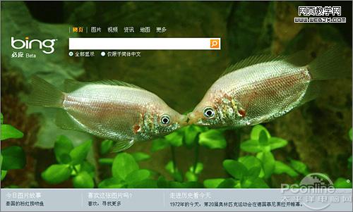 ��������������վ��ҳ����