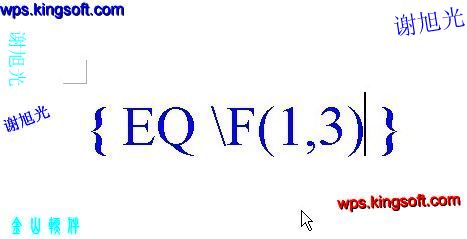 ��WPS��ʵ�����������������뼼��