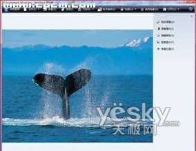 ��Vista�Զ������Ϳ�¼��Ƭ4