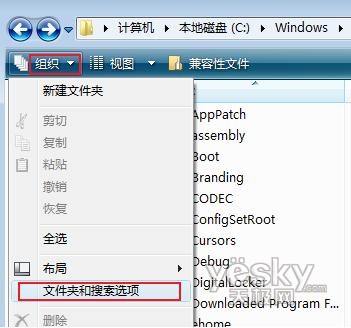 Vista����ϵͳ���ļ���չ�������ʾ1