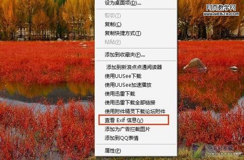 ��������ҳ�����ɲ鿴��Ƭ��EXIF��Ϣ