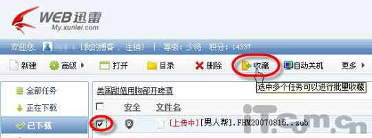 ׼���ղع���