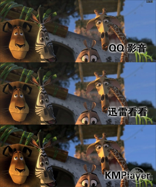 6��������Ƶ������������