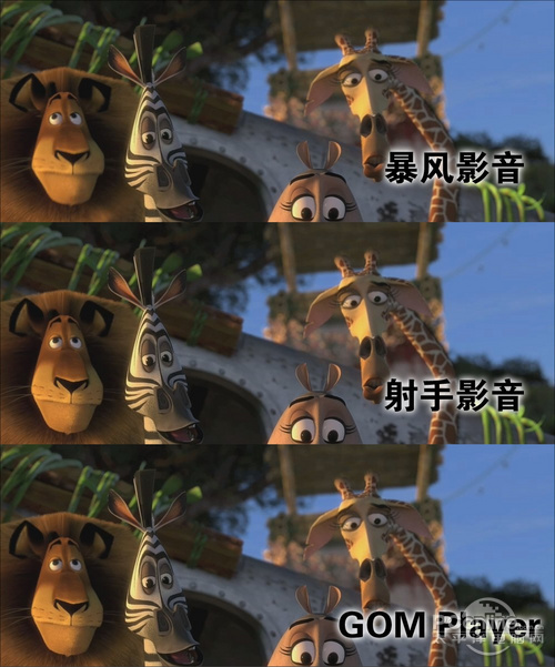 6��������Ƶ������������