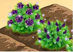 ũ���¹���Ԥ�� ũ�����ؿ�����������