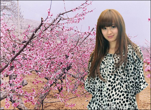 ��ͼ����