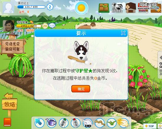 �����û����Ӷ�Ȯ QQ��԰��͵��͵