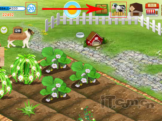 ���⣺QQũ��20���û��ɿ�ͨQQ����