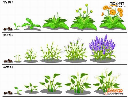 QQũ��ȫ����ɳ����̴�ͼ��