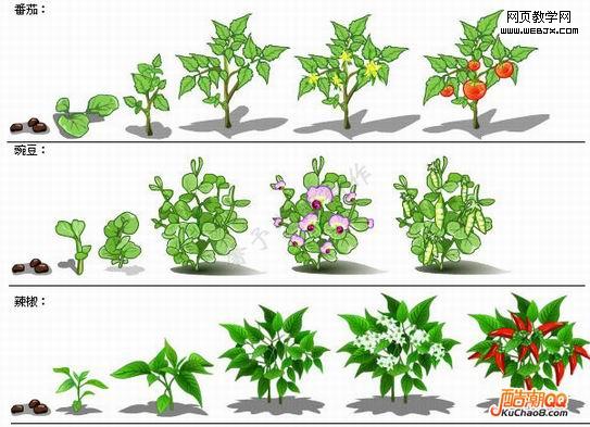 QQũ��ȫ����ɳ����̴�ͼ��