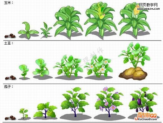 QQũ��ȫ����ɳ����̴�ͼ��