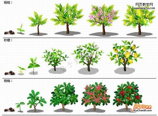 QQũ��ȫ����ɳ����̴�ͼ��