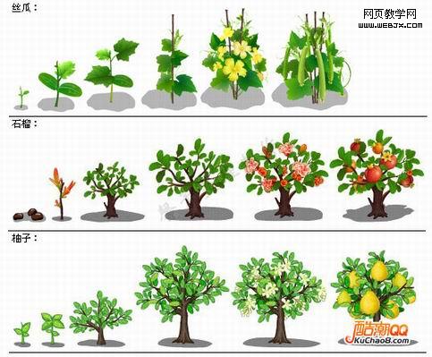 QQũ��ȫ����ɳ����̴�ͼ��