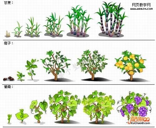 QQũ��ȫ����ɳ����̴�ͼ��