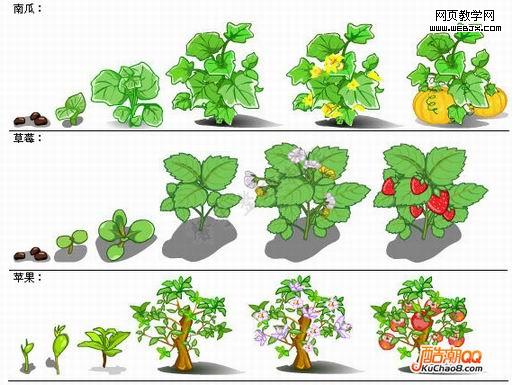 QQũ��ȫ����ɳ����̴�ͼ��