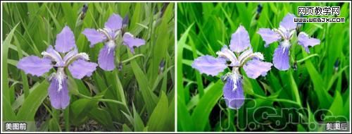 û�а��󵥷���� Ҳ�ܡ��ĳ�������Ч��