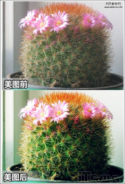 ��ͼ�����������ţ��ſ���Чһ���㶨!