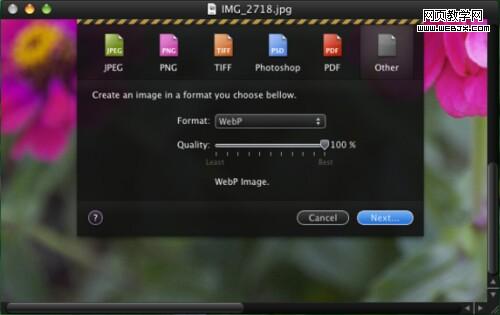 Google����ͼ���ʽWebP�ԱȲ��� ѹ������40%