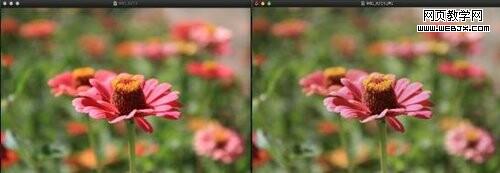 Google����ͼ���ʽWebP�ԱȲ��� ѹ������40%