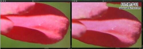 Google����ͼ���ʽWebP�ԱȲ��� ѹ������40%