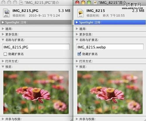 Google����ͼ���ʽWebP�ԱȲ��� ѹ������40%
