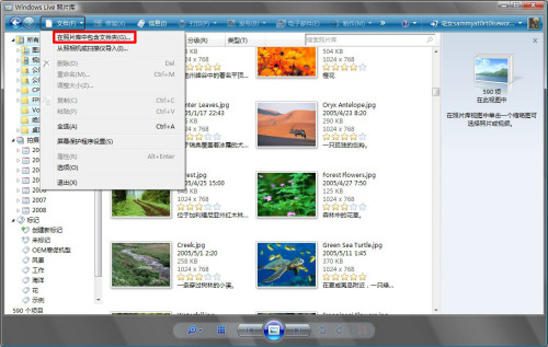 ����Ŵ��ͼƬ