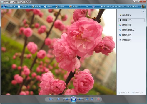 ����Live����