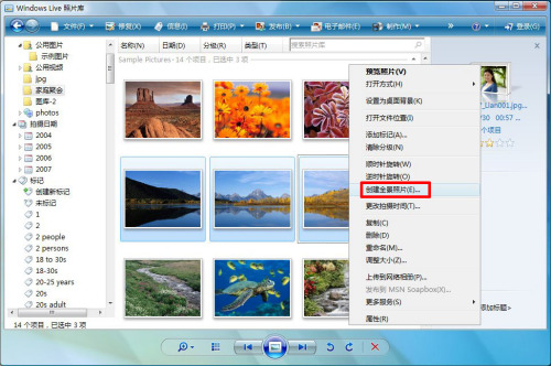 ����Live����