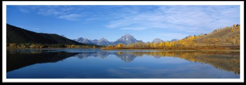 ����Live����