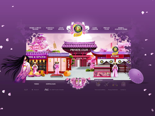 UCD����-flash��վ���-