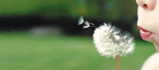 �����Ϻ� �� Integrated Design 