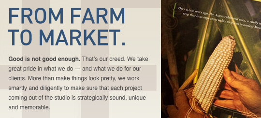 �����Ա�2