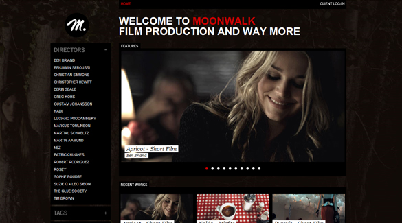 IT��ѧ��-40��WordPress��վ���-Moonwalk Films