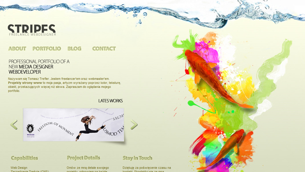 Stripes-Design Portfolio  Design