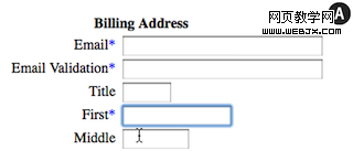 Descriptions-to-form-field-labels-1 in Fundamental Guidelines Of E-Commerce Checkout Design