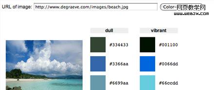 color palette generator