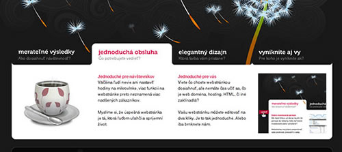 ��վ�еĻõ�չʾЧ��