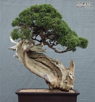 �������:10���������Ʒ���ɹ��ļ���