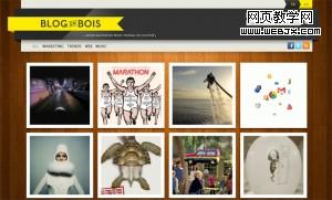 6 300x181 ��ҳ�е�˿���ͱ������