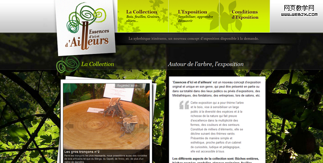 Essences d'ici et d'ailleurs essencesdicietdailleurs_fr