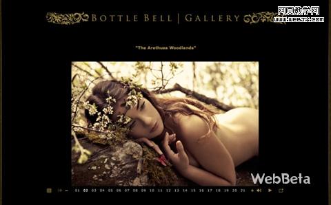 Beautiful Photography Website