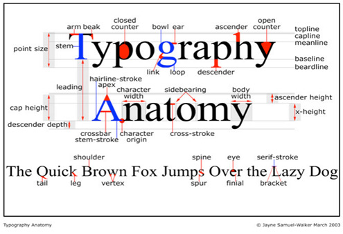 ������������Icon Font