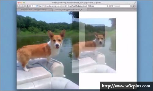 ������ҳ���ʦ��ǿ��������С���š����ߺͼ���