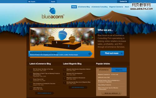 http://www.blueacorn.com/