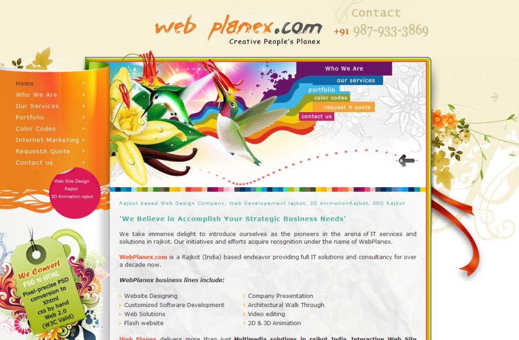 IT��ѧ��-�ʺ�ɫ����վ���