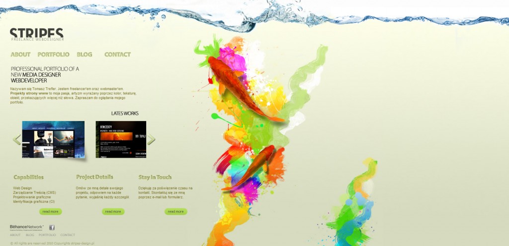 IT��ѧ��-�ʺ�ɫ����վ���