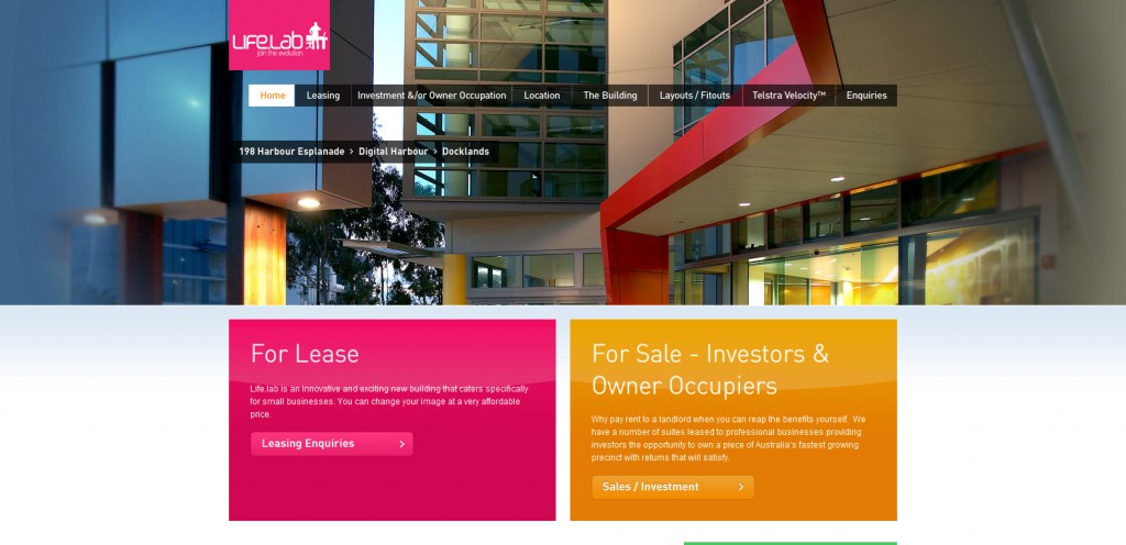 IT��ѧ��-�ʺ�ɫ����վ���