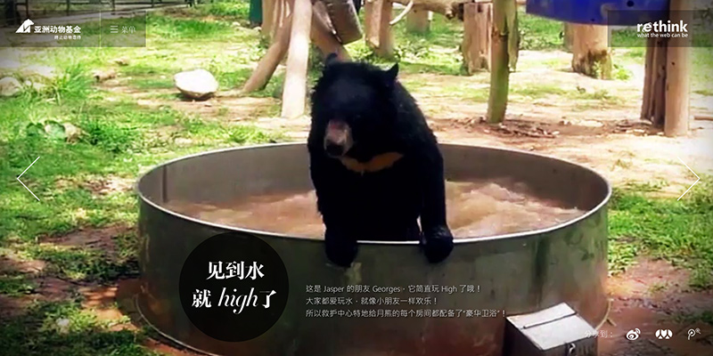 ��Ƶ����ҳ��������Ĵ���Ӧ��